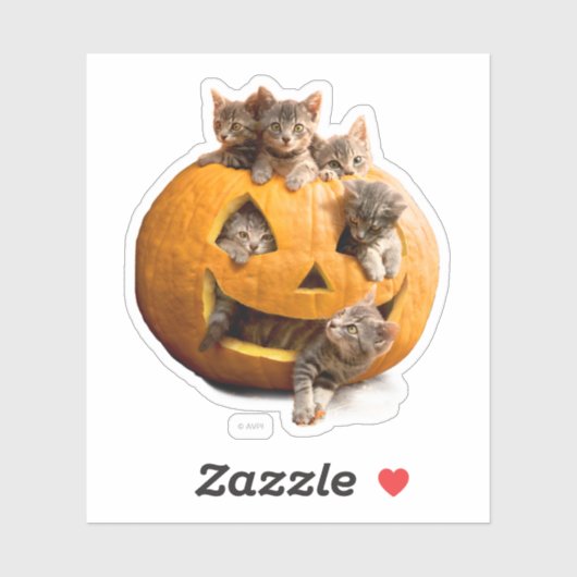 Sticker Chatons à Jack-o-Lantern (Feuille)