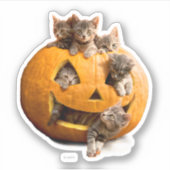 Sticker Chatons à Jack-o-Lantern (Devant)