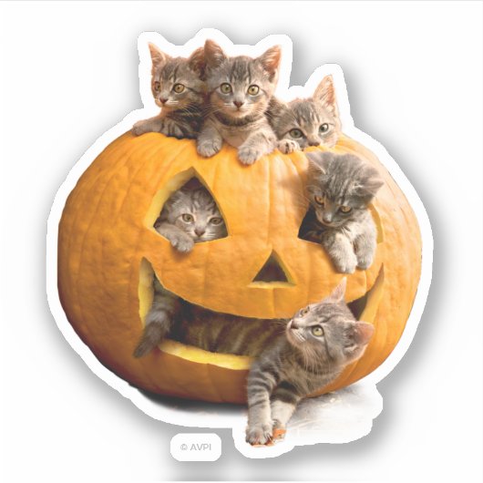 Sticker Chatons à Jack-o-Lantern (Devant)