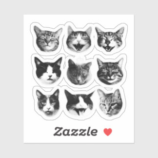 Sticker Chats