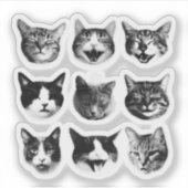 Sticker Chats (Devant)