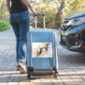 Sticker Chats à l'aquarelle se câlinant dans l'art abstrai (Valise Insitu)