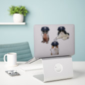 Sticker Chats amusants (Ordinateur portable sur le bureau)