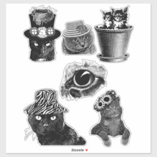 Sticker Chats Chatons Animaux Dessins en noir et blanc