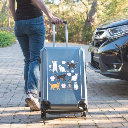 Sticker Chats mignons (Valise Insitu)
