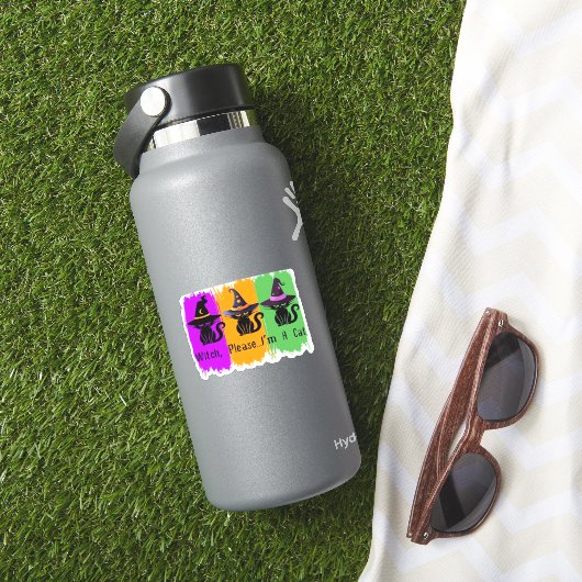 Sticker Chats Noirs En Sorcière Casquette Essentiel T-Shir (HydroFlask Insitu)