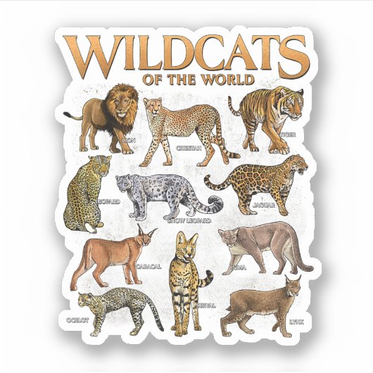 Sticker Chats sauvages Animaux du monde éducatif Wild An (Devant)