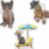 Sticker Chats Sur La Plage (Devant)