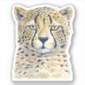 Sticker Cheetah (Devant)