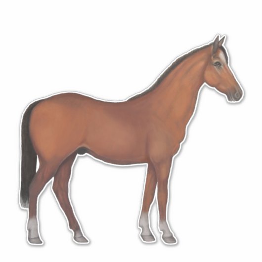 Sticker Cheval Brown. Prêt pour le spectacle (Devant)