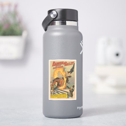 Sticker Cheval De Cirque Qui Traverse Un Flaming Hoop (HydroFlask)