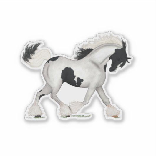 Sticker Cheval Pinto Pony (Devant)