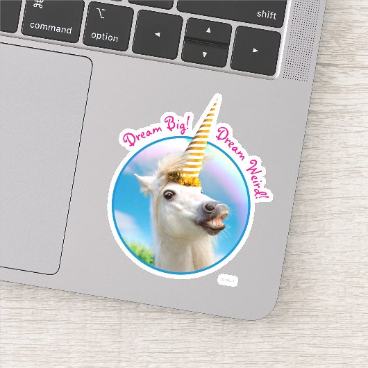 Sticker Cheval Unicorn Et Arc En Ciel (Détail)