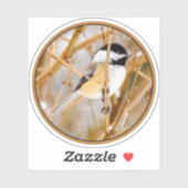Sticker Chickadee au plafond noir - Photo originale (Feuille)