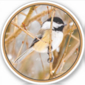 Sticker Chickadee au plafond noir - Photo originale (Devant)