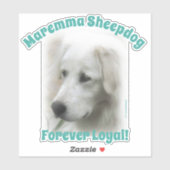 Sticker Chien à mouton Maremma Forever Loyal transparent a (Feuille)