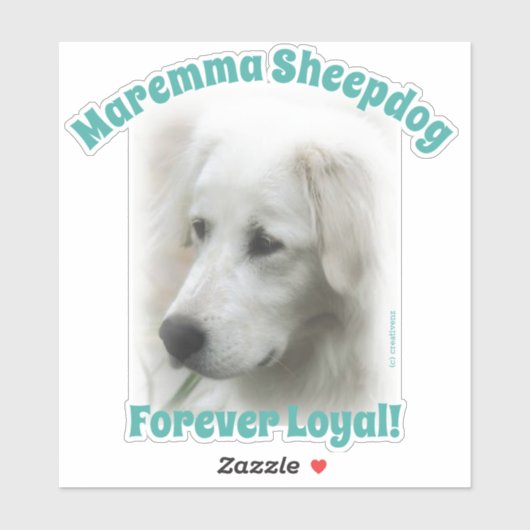 Sticker Chien à mouton Maremma Forever Loyal transparent a (Feuille)
