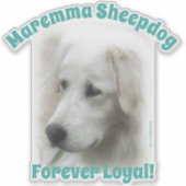 Sticker Chien à mouton Maremma Forever Loyal transparent a (Devant)