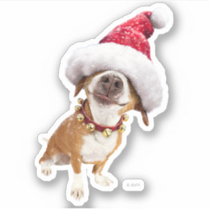 Sticker Chien avec grand chapeau de Père Noël