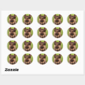 Sticker chien berger (Feuille)