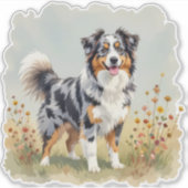 Sticker Chien Berger Australien Merle Queue Longue (Devant)