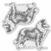 Sticker Chien colley (Devant)