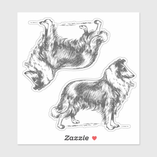 Sticker Chien colley (Feuille)