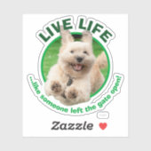 Sticker Chien Courant Dans Le Jardin (Feuille)