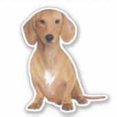 Sticker Chien Dachshund (Devant)