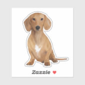 Sticker Chien Dachshund (Feuille)