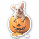 Sticker Chien dans Jack-o-Lantern (Devant)