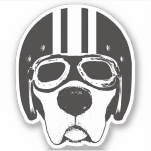 Sticker Chien de laboratoire jaune dans le casque et lunet