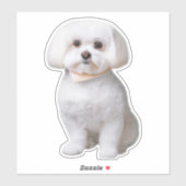 Sticker Chien maltais (Feuille)