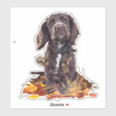 Sticker Chien spaniel spaniel cocker au chocolat (Feuille)