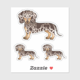 Sticker Chien teckel à poil court chocolat et tan tacheté