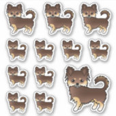Sticker Chiens Chihuahua à poil long chocolat et fauve (Devant)