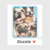 Sticker Chiens et photo d'un groupe de chats (Feuille)