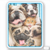 Sticker Chiens et photo d'un groupe de chats (Devant)