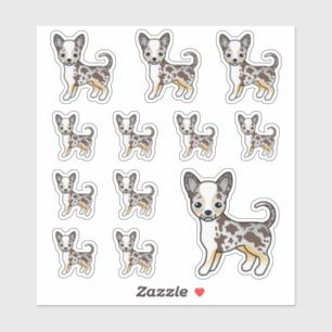 Sticker Chiens mignons Chihuahua au pelage lisse Merle au