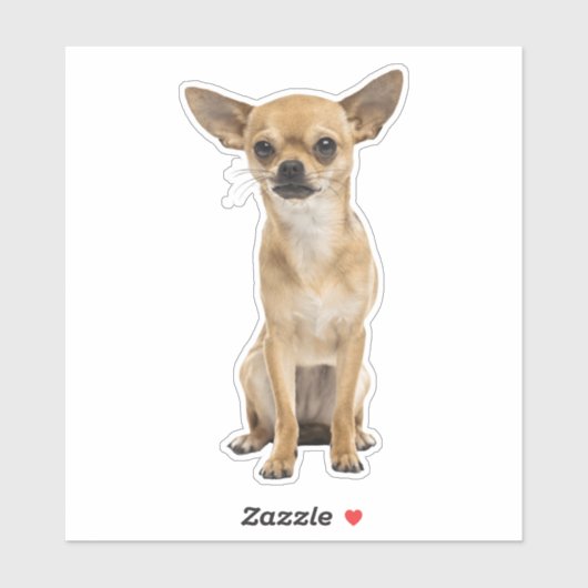 Sticker chihuahua (Feuille)