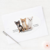 Sticker Chihuahua (Enveloppe)