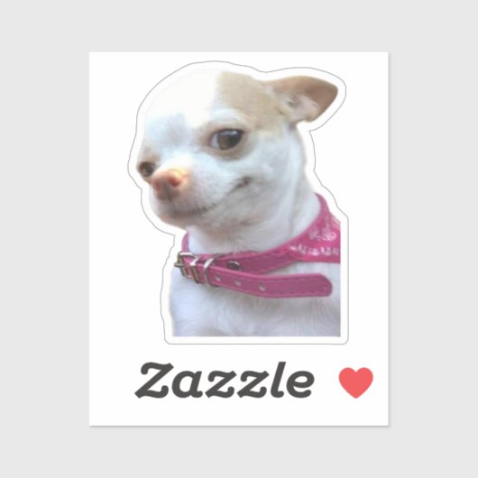 Sticker Chihuahua Dog Meme (Vel)