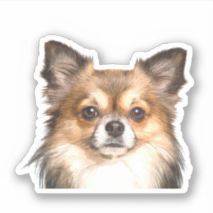 Sticker Chihuahua Portrait