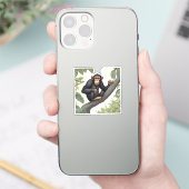 Sticker Chimpanzé mignon sur la branche accueille (Téléphone)