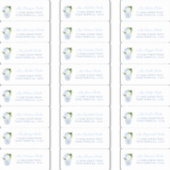 Sticker Chinoiserie Chic Wedding shower Adresse d'hôte (Devant)