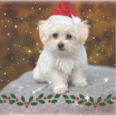 Sticker Chiot maltais à Noël (Devant)