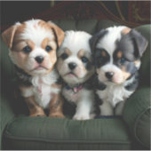 Sticker Chiots super mignons sur le canapé 2 (Devant)