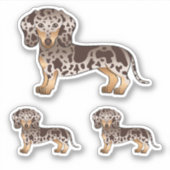 Sticker Chocolat Et Tan Dapper Cheveux Courte Dachshund Ch (Devant)