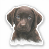 Sticker Chocolat Labrador (Recto)