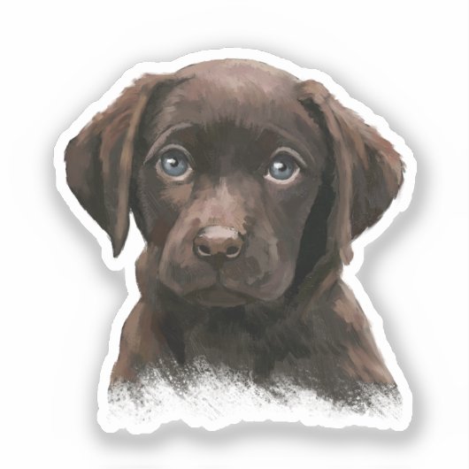 Sticker Chocolat Labrador (Recto)